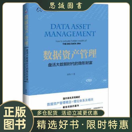 正版书籍 数据资产管理:盘活大数据时代的隐形财富 高伟著 机械工业